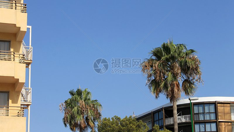 企业会议旅游解决方案：定制化服务背后的逻辑